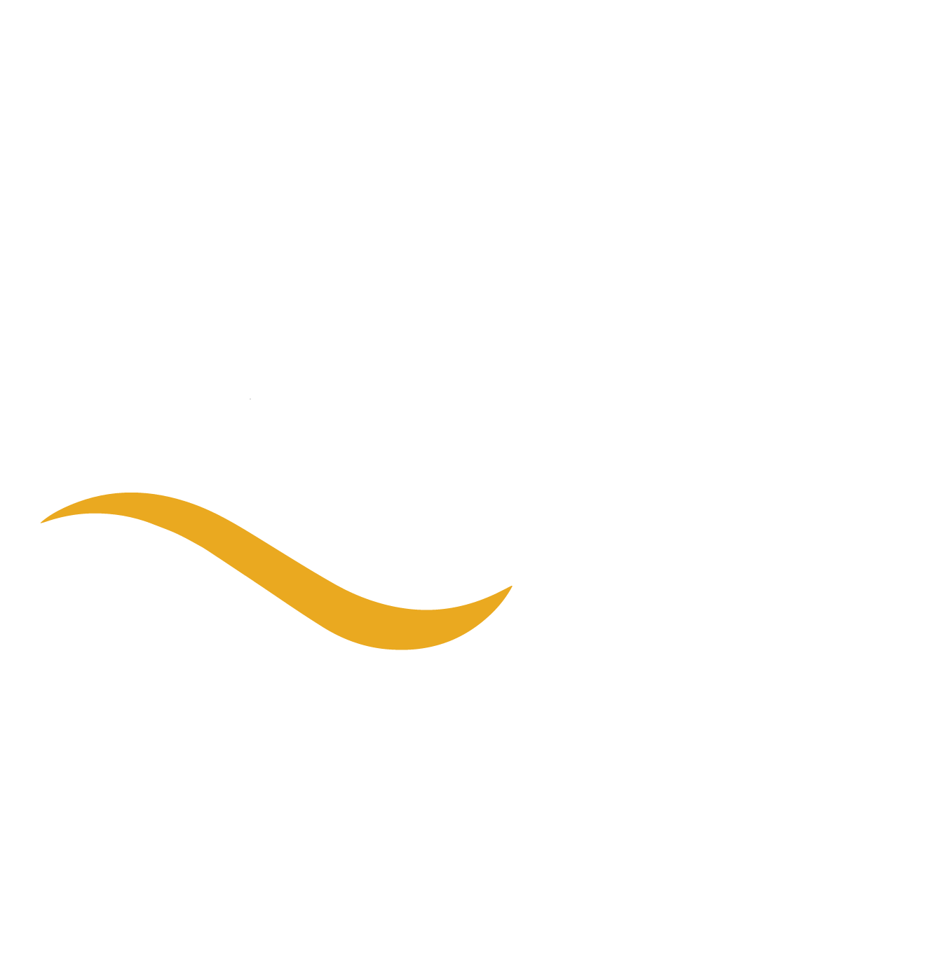 Ballina Fair Logo